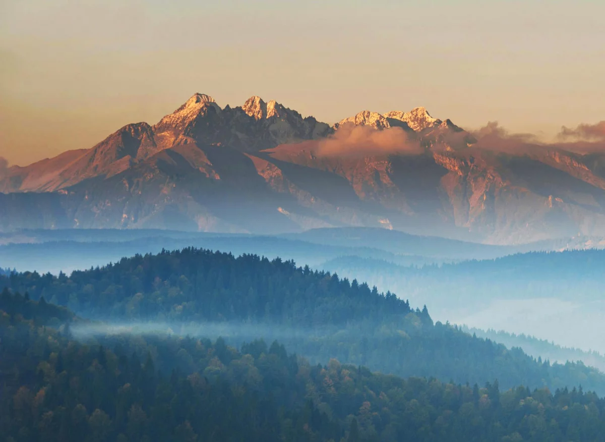 Jak w 2024 szybciej  robić biznes?