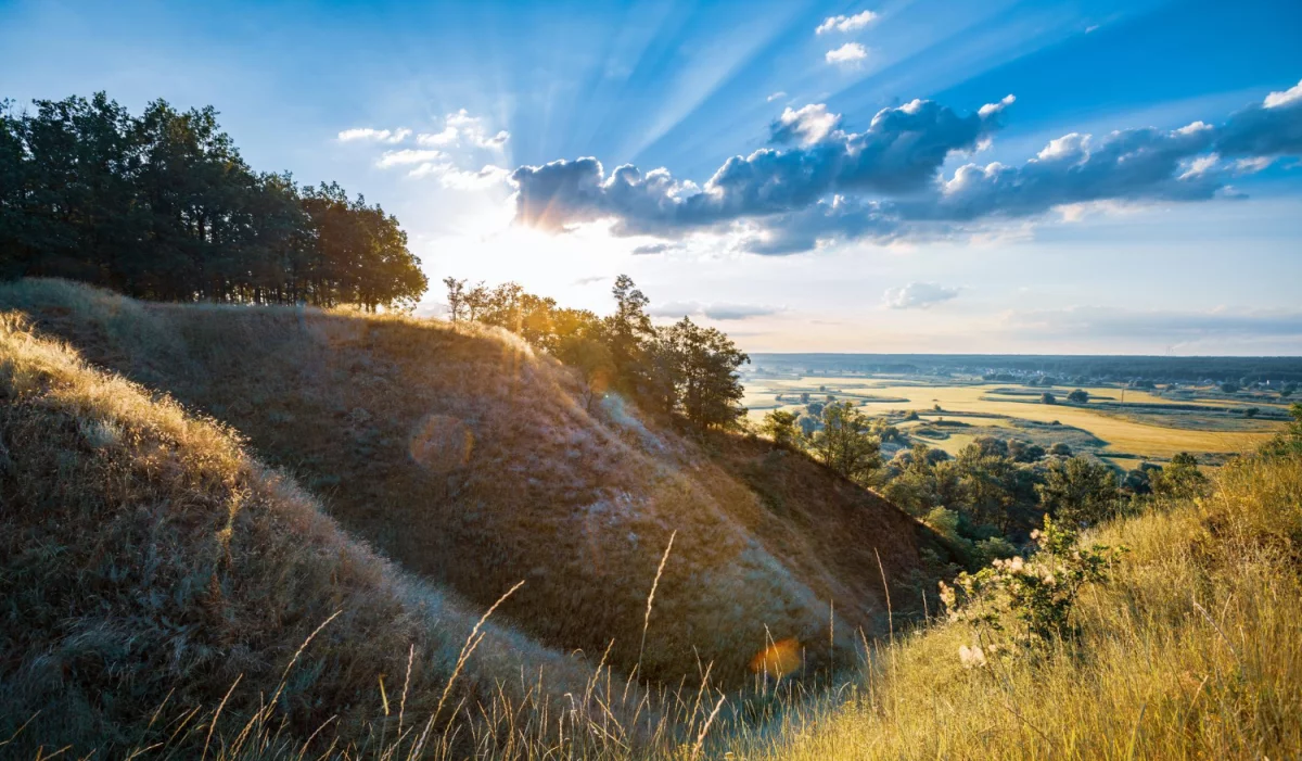 Tylko u nas informacje z pierwszej ręki - o tym jak Kupić Bramę