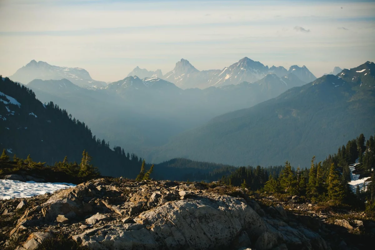 Ciekawe kto może reklamować?