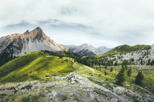 5 informacji jak odchudzić się