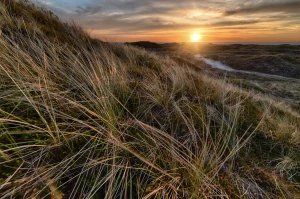 Czy ktoś może mi pomóc robić biznes?