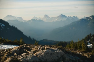 Czy znaleźć dentystę w Cieszynie to obowiązek?
